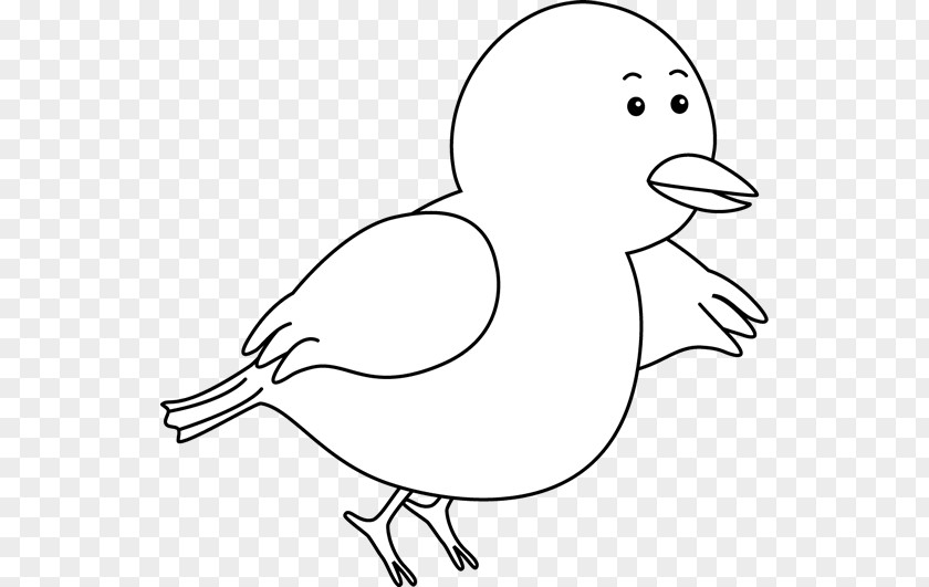 Flying Bird Outline Chicken Black And White Domestic Pigeon Clip Art PNG