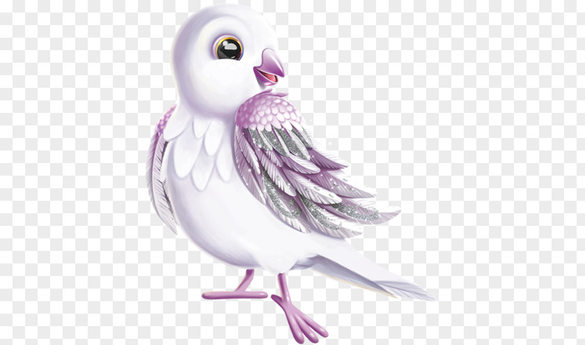 Good Luck Charm Owl Goose Cygnini Duck Bird PNG