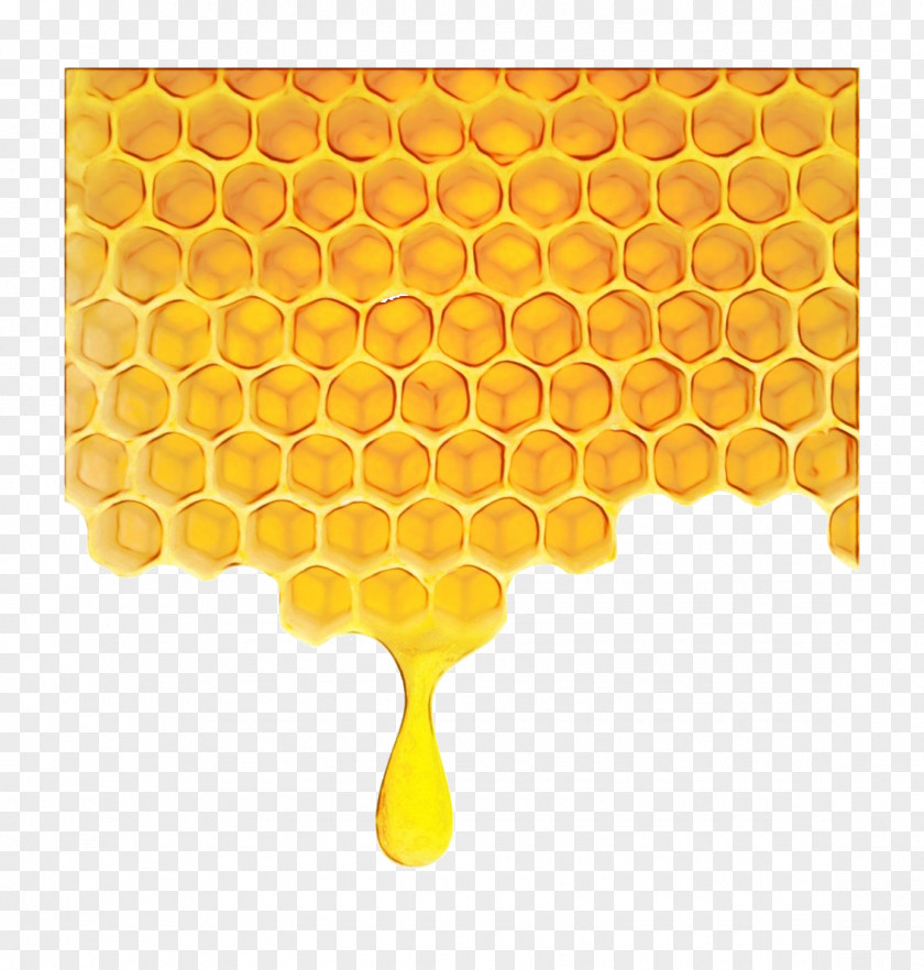 Honeycomb Honey Bees Comb Icon PNG