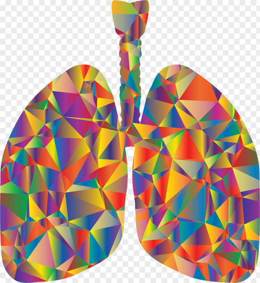 Low Poly Lung T-shirt Respiratory System Clip Art PNG
