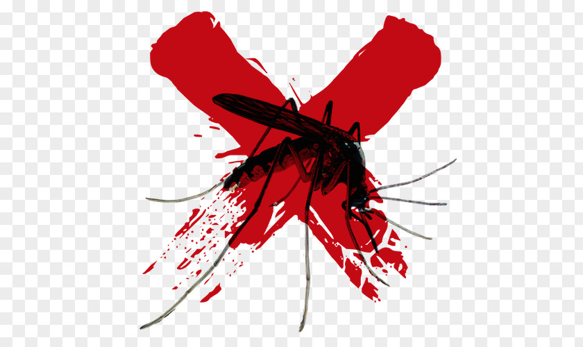 Mosquito Insect Line PNG