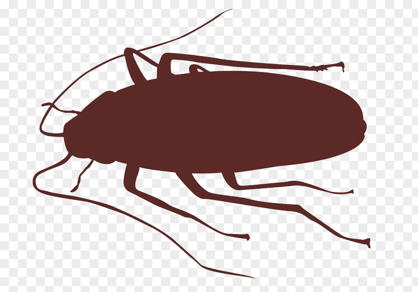 Roach Cockroach Insect Silhouette PNG