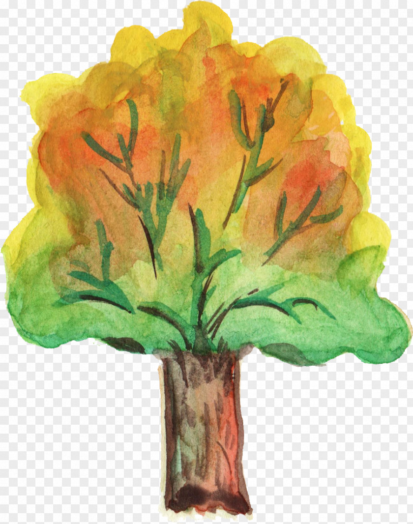 Watercolor Tree Liriodendron Tulipifera Plant Flower Spathodea PNG