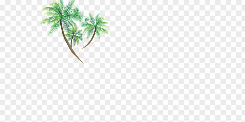 Coconut Tree Material Green Leaf Area Pattern PNG