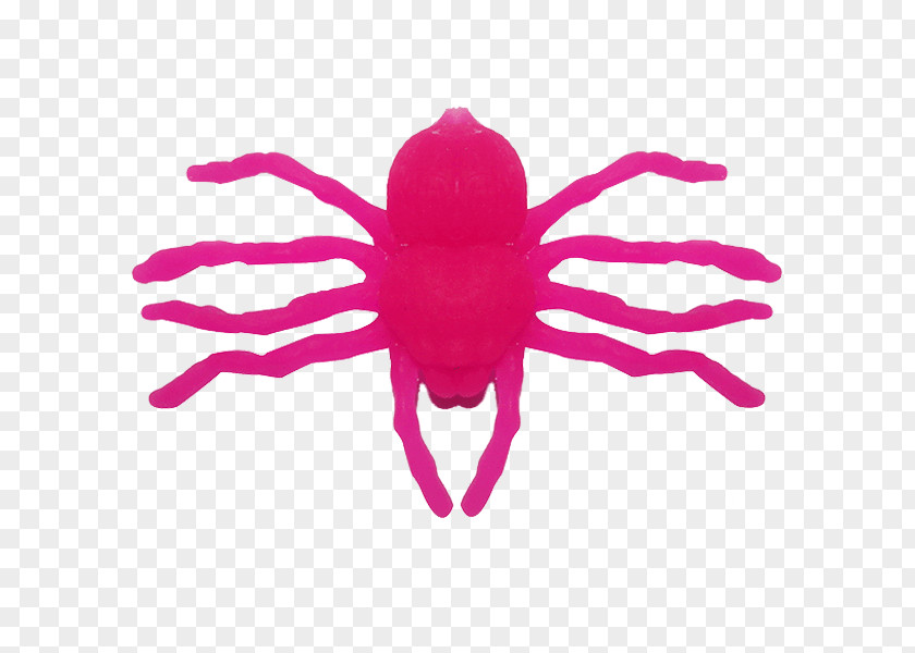 Invertebrate Pink M PNG