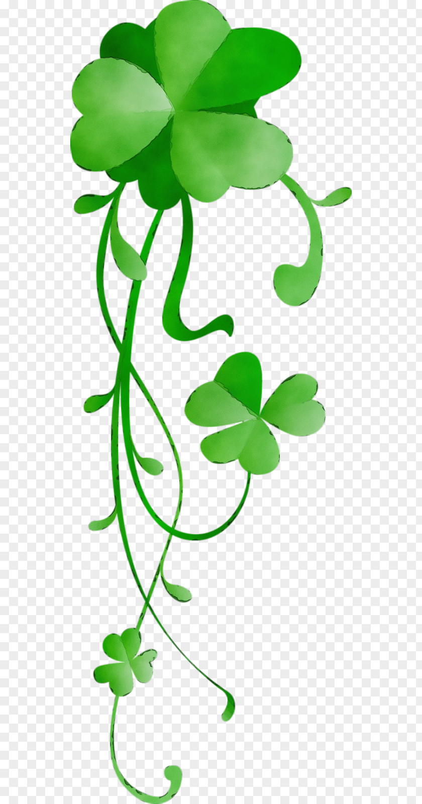 Leaf Green Plant Symbol Stem PNG
