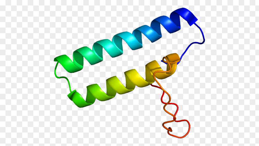 Protein Transfer RNA Aminoacyl TRNA Synthetase Translation Gene PNG
