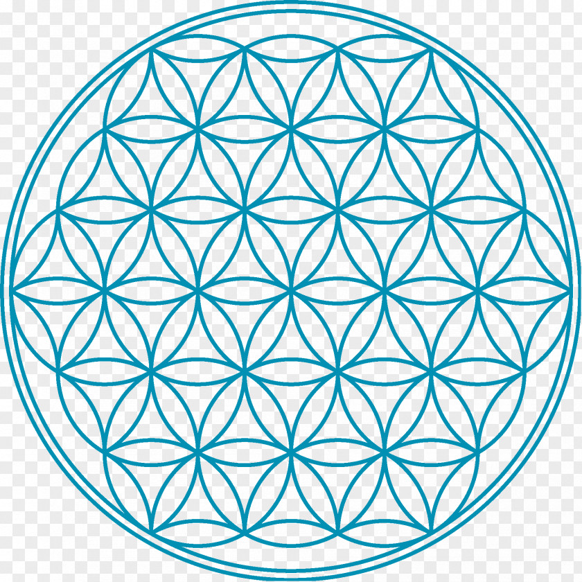 Symbol Overlapping Circles Grid Sacred Geometry Massagepraxis ZEITLOSIGKEIT Wall Decal PNG