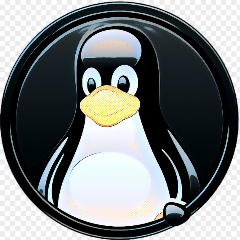 Beak Cartoon Penguin PNG