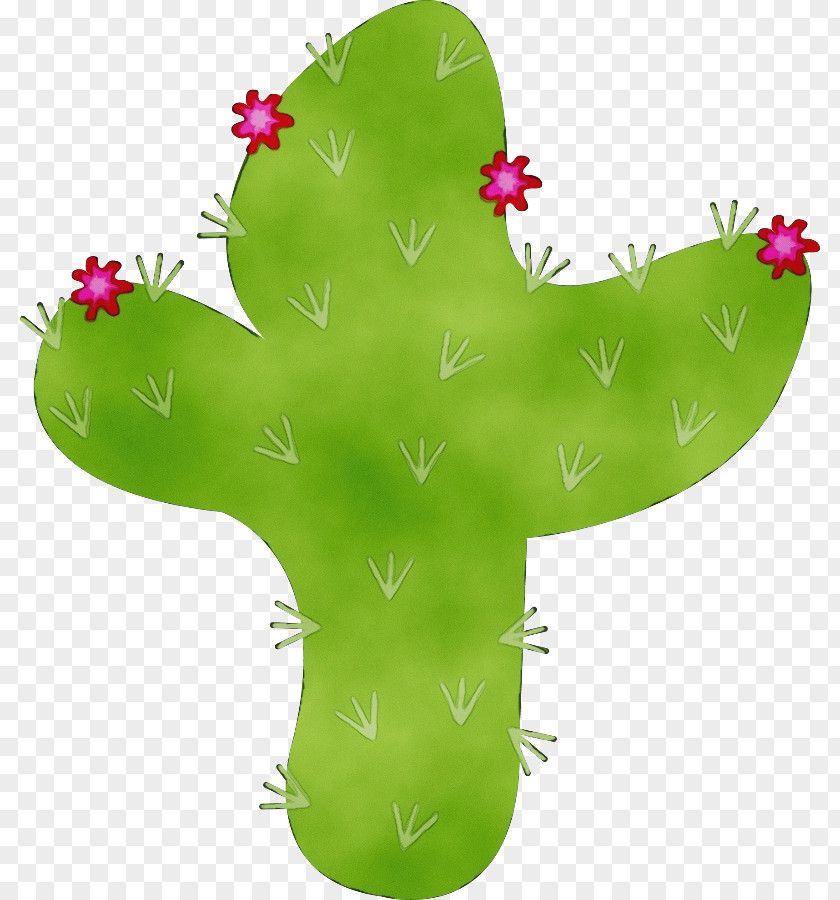 Flower Grass Cactus PNG