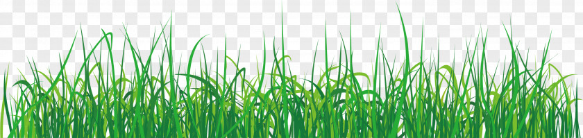 Grass Elements The Championships, Wimbledon Download PNG