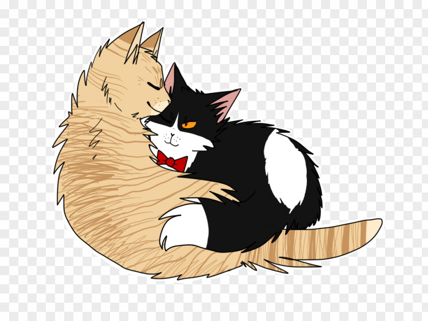 Kitten Whiskers Cat Dog Canidae PNG