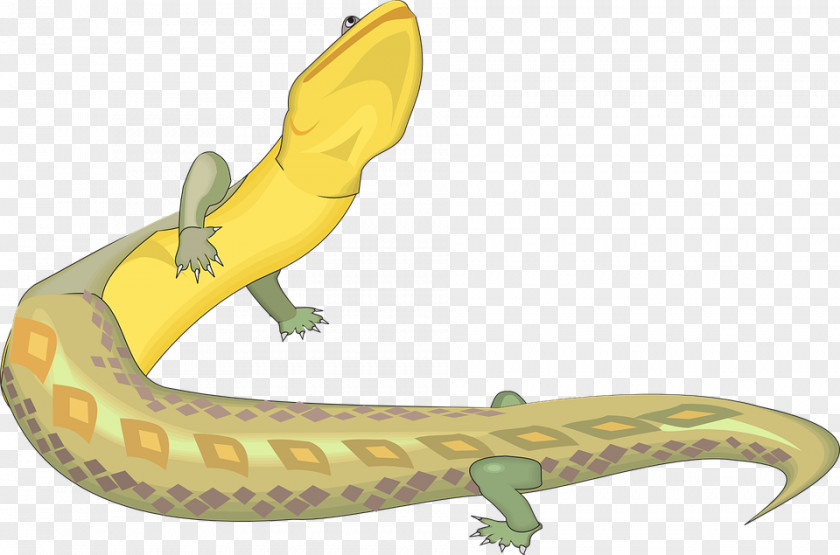 Lizard Reptile Yellow Dinosaur PNG