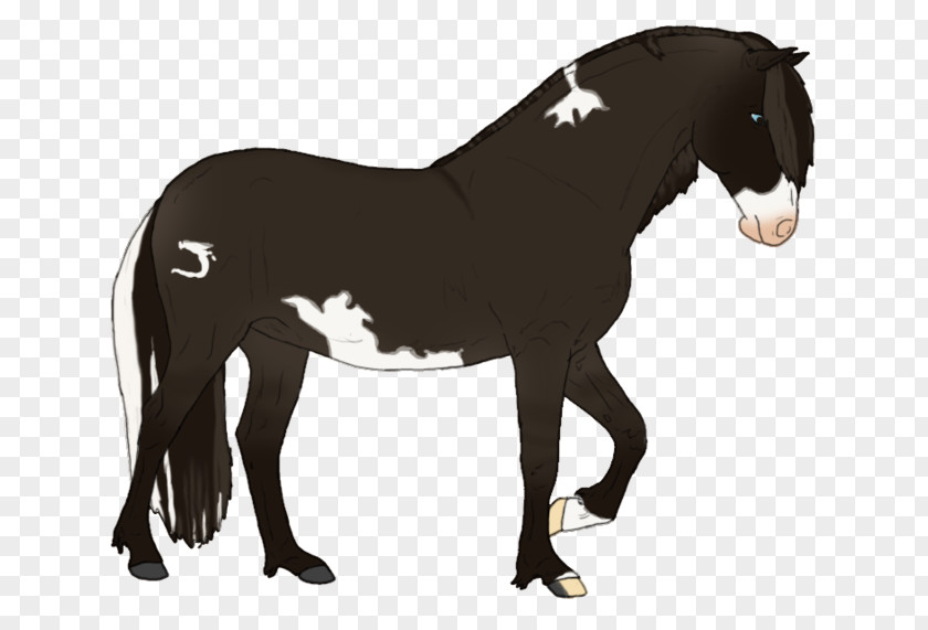 Mud Horse Mustang Stallion Pony Rein Pack Animal PNG