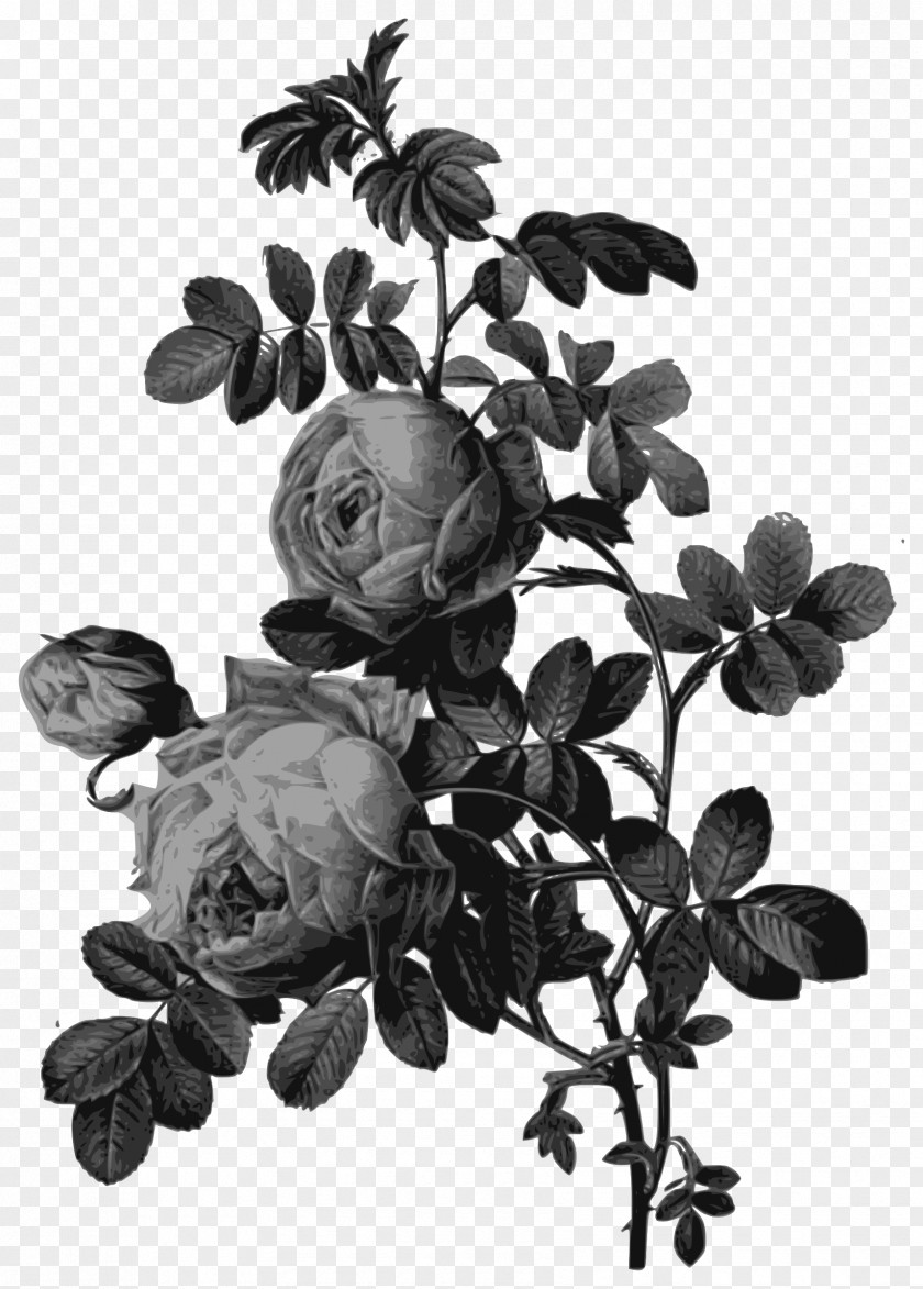 Painting Roses Art Drawing PNG