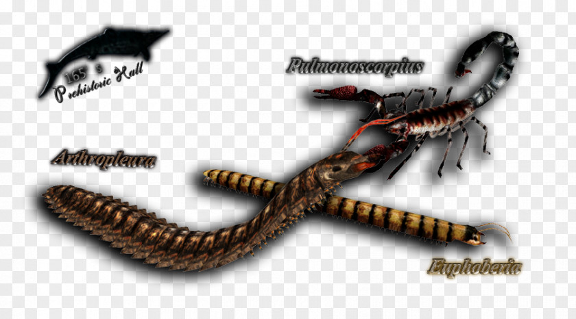 Pterosaurus Reptile Product Invertebrate PNG