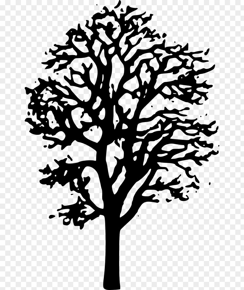 Tree Japanese Maple Clip Art PNG