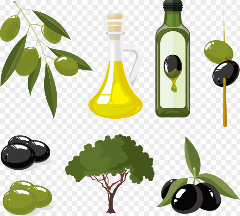 Vector Olive And Fruit Oil PNG