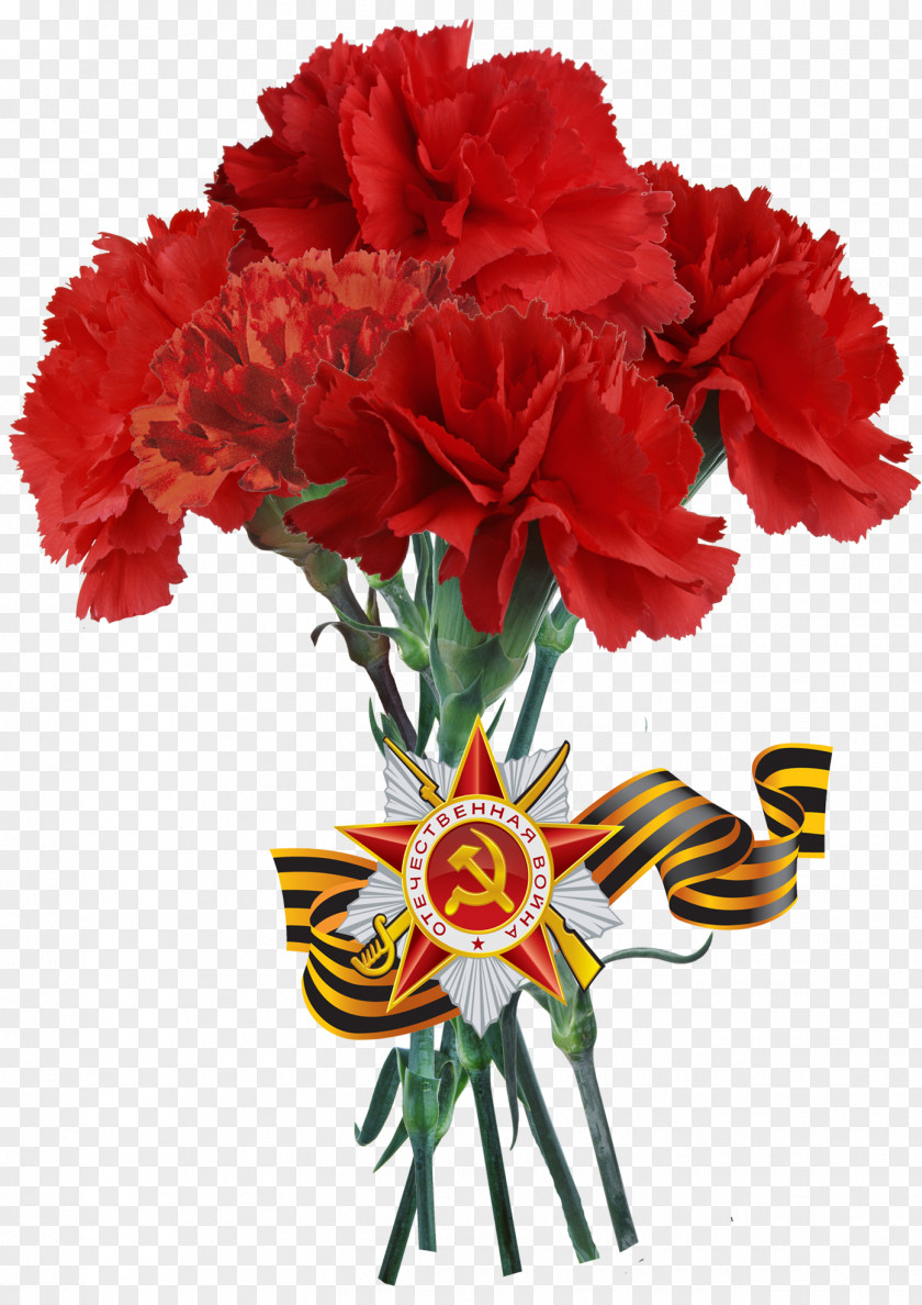 Victory Day Carnation Cut Flowers Floral Design PNG