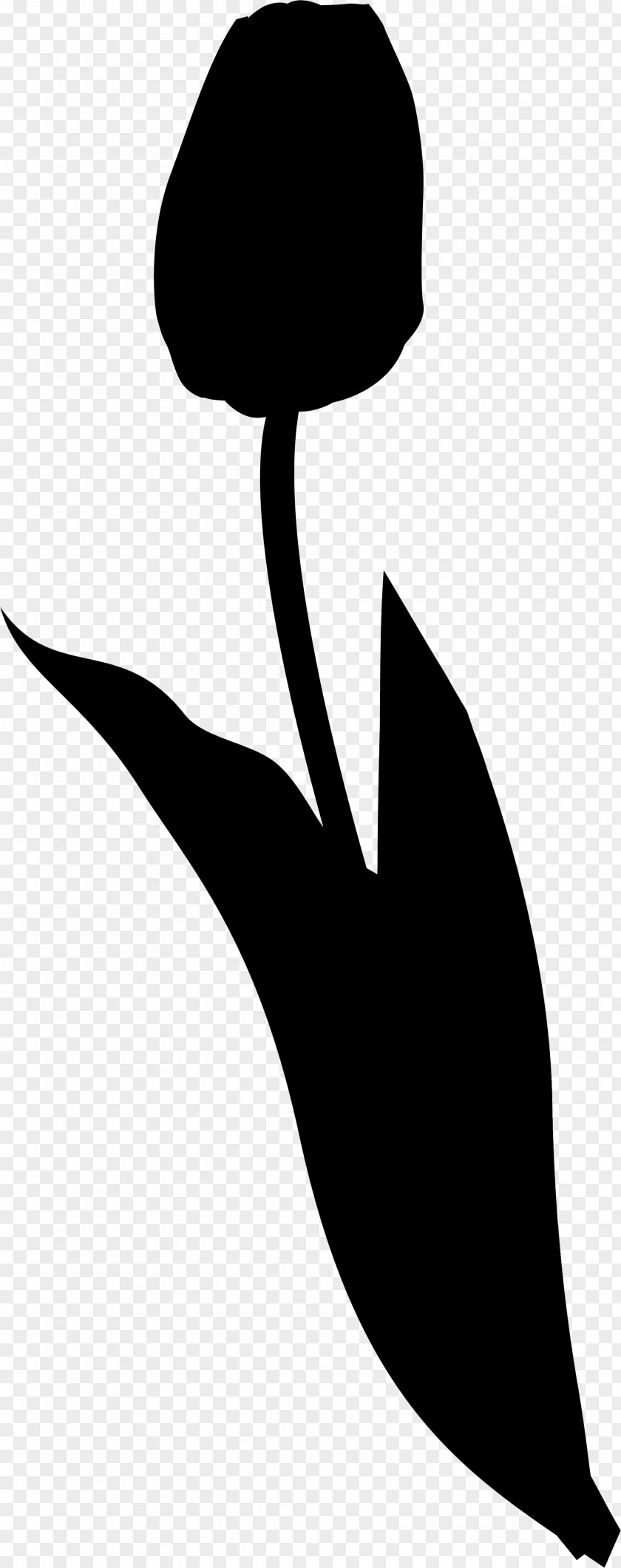 Clip Art Bird Leaf Beak Silhouette PNG