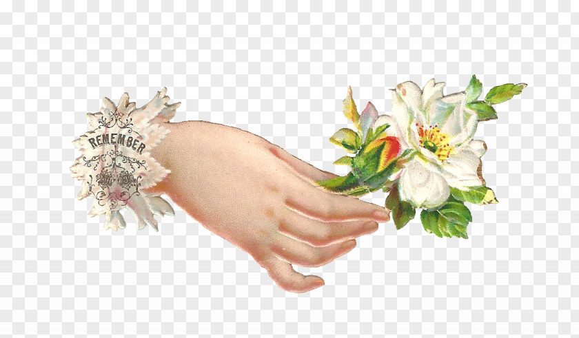 Holding Flowers Cut Floral Design Clip Art PNG