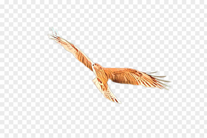 Metal Tail Feather PNG