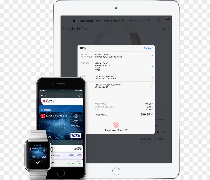 Mobile Payment Smartphone Feature Phone France Apple Pay PNG