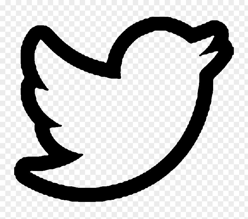 Twitter Picture Logo Icon PNG