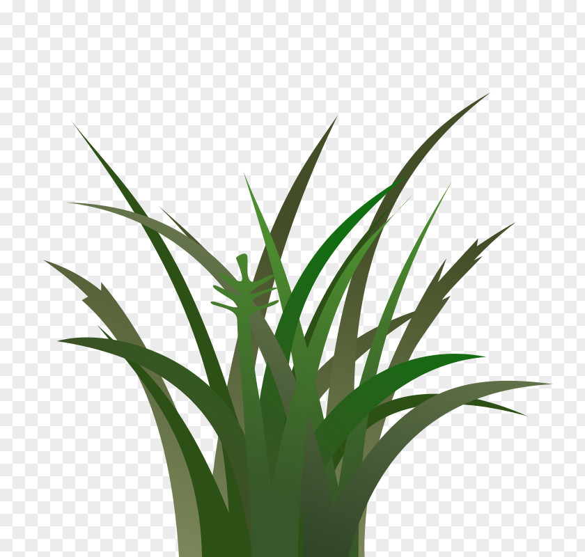 Vegetation Cliparts Lawn Cartoon Clip Art PNG