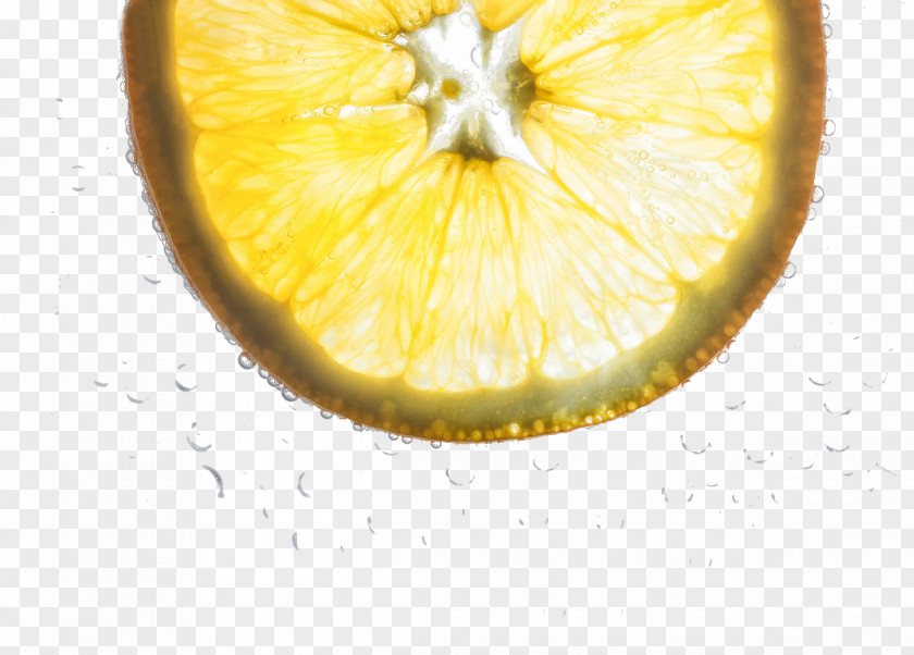 Yellow Lemon Slices Computer File PNG