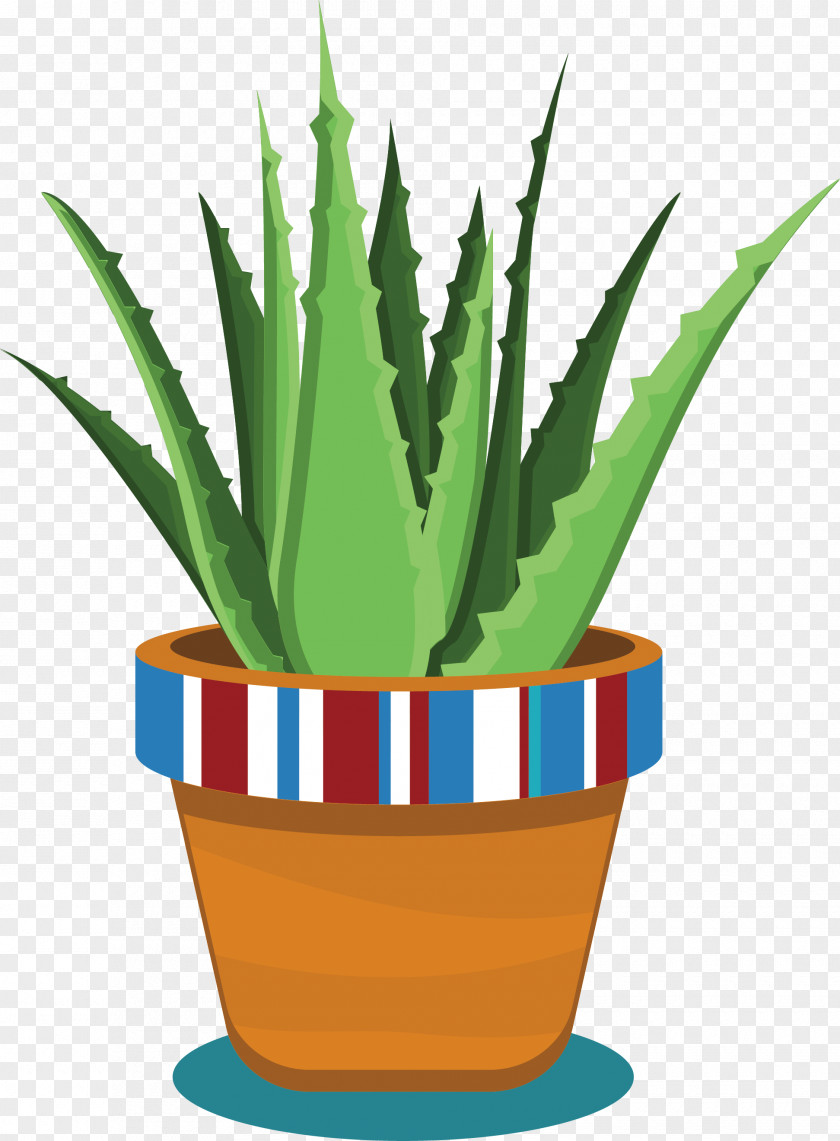 A Pot Of Aloe Vera Potted Flowerpot Plant PNG