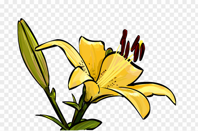 Azalea Icon Quanzhou Floral Design Flower Sanming Hot Spring Park PNG