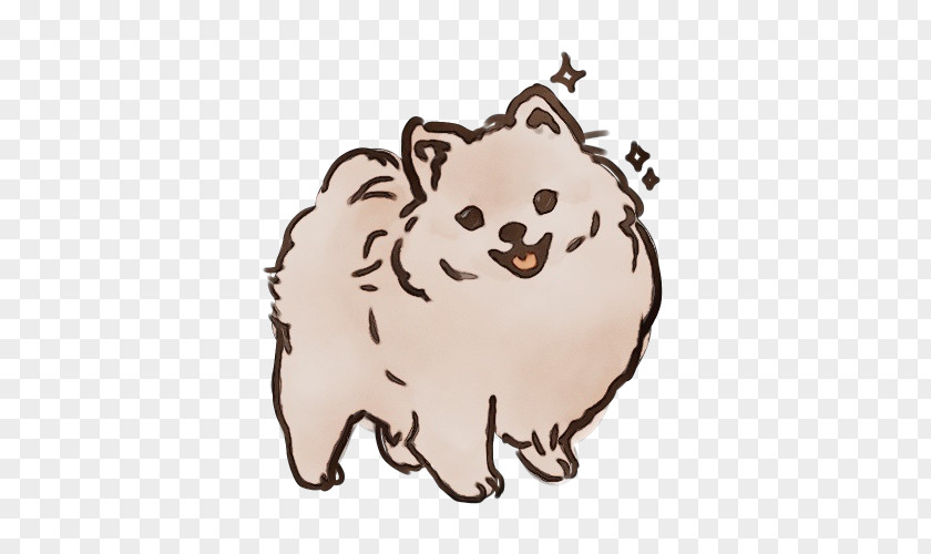 Fawn Nonsporting Group Pomeranian Dog Spitz Cartoon Snout PNG