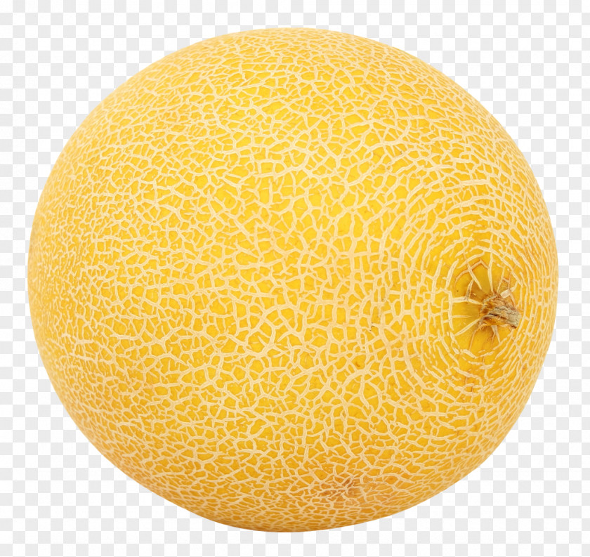 Melon Cantaloupe Galia Honeydew PNG