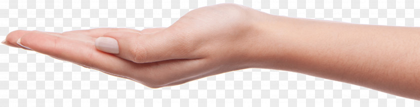 Palm Hands Hand Image Thumb Product Model PNG