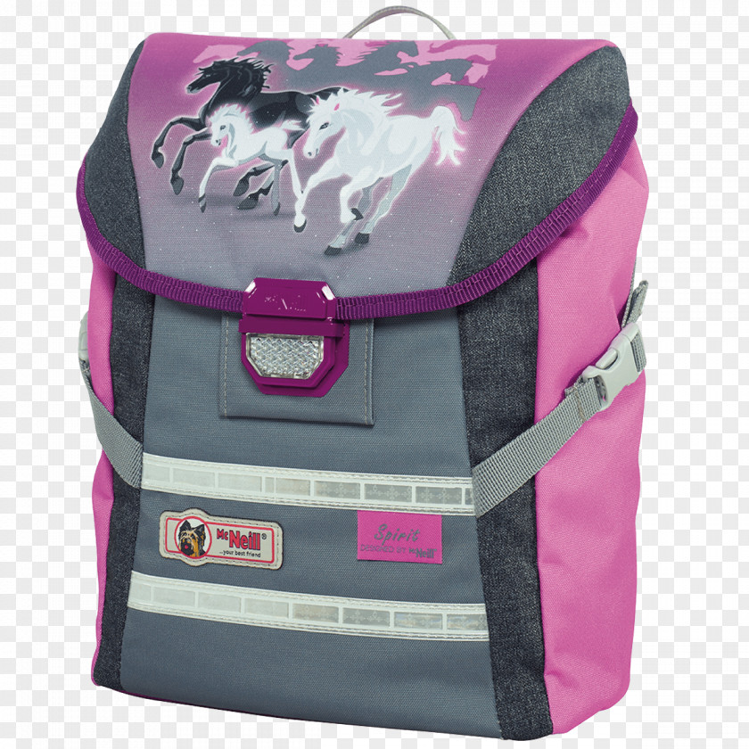 Schoolbag Sattlerei Bienz 041 4903288 Satchel Backpack Briefcase Bag PNG