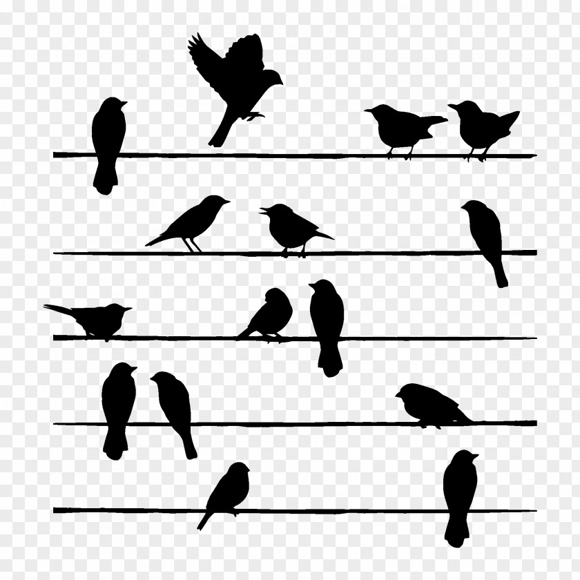 Silhouette Bird Drawing Painting PNG