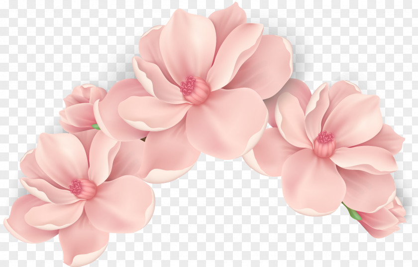 Vector Hand Painted Pink Flowers PNG