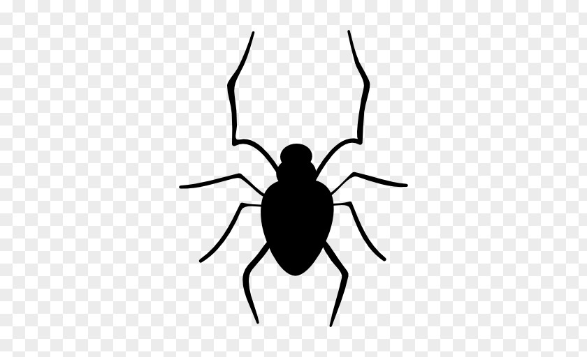 Black Spider Halloween Drawing PNG