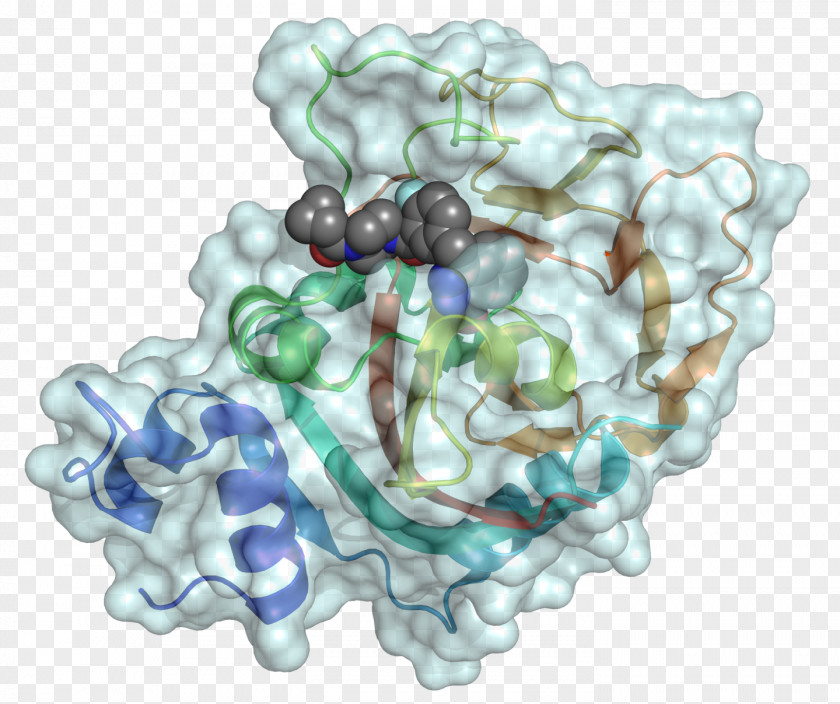 Olaparib Ovarian Cancer Therapy PARP Inhibitor PNG