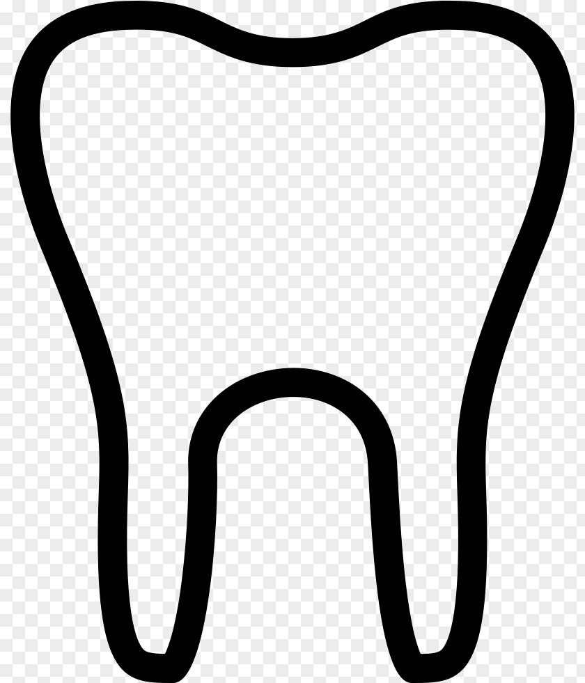 Teeth Vector Human Tooth Clip Art PNG
