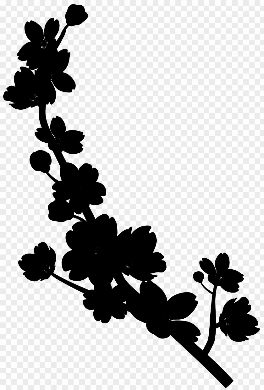 Twig Leaf Plant Stem Design Pattern PNG