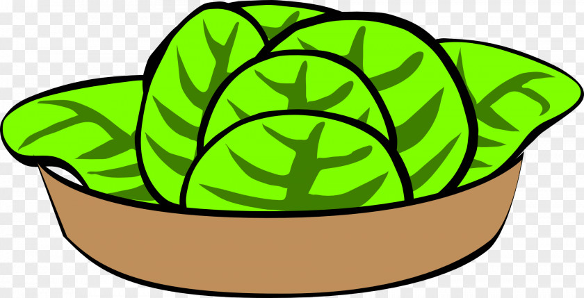 A Cabbage Leaf Caesar Salad Greek Chicken Clip Art PNG