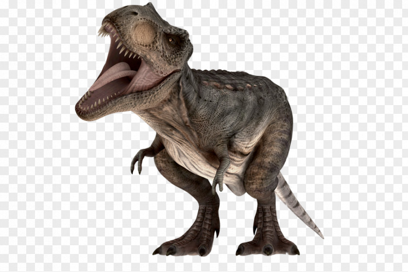 Dinosaur Tyrannosaurus Velociraptor Parque Shopping Barueri PNG