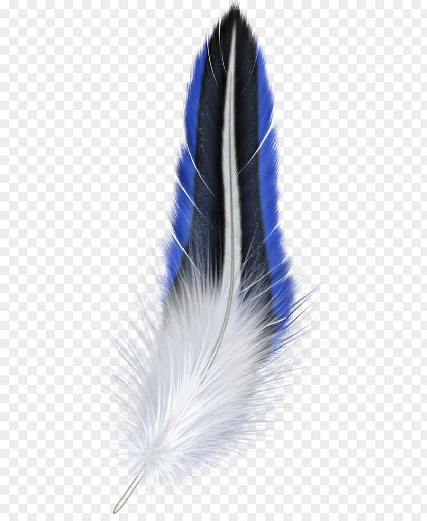 Feather Blue PNG