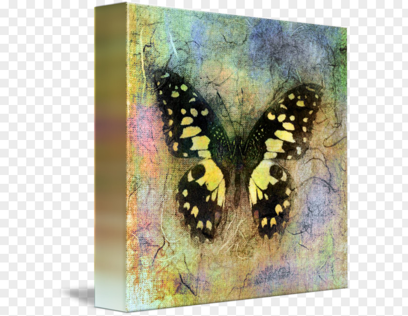 Glossy Butterflys Gallery Wrap Canvas Print Painting Art PNG