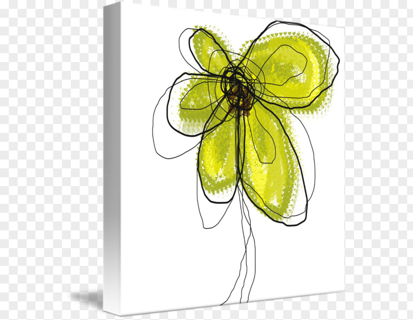 Insect Butterfly Gallery Wrap Pollinator Canvas PNG