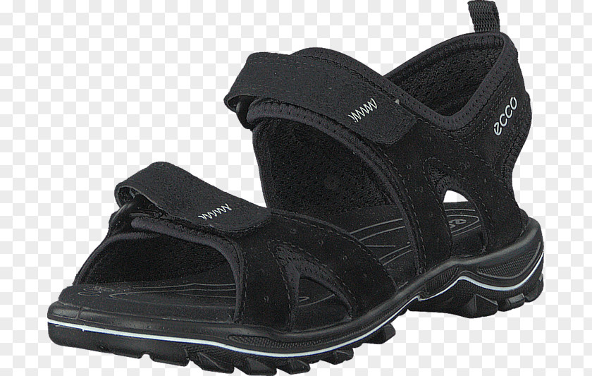 Safari Kids Sneakers Shoe Hiking Boot Sandal Buffalo PNG