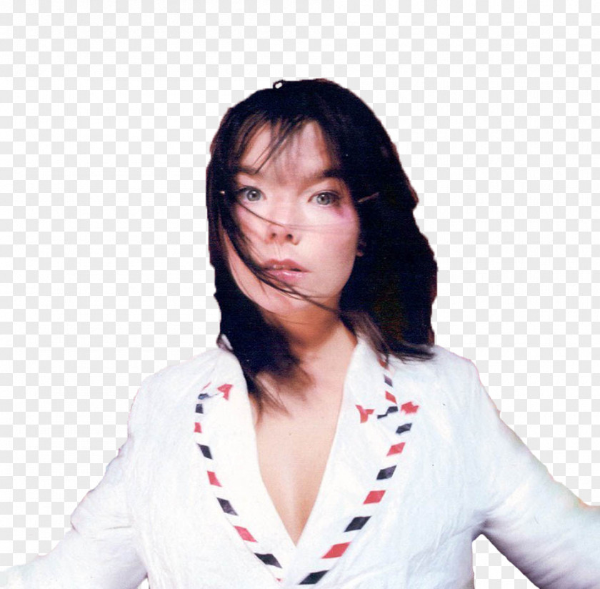 Bjork Björk Post Homogenic Debut Album PNG