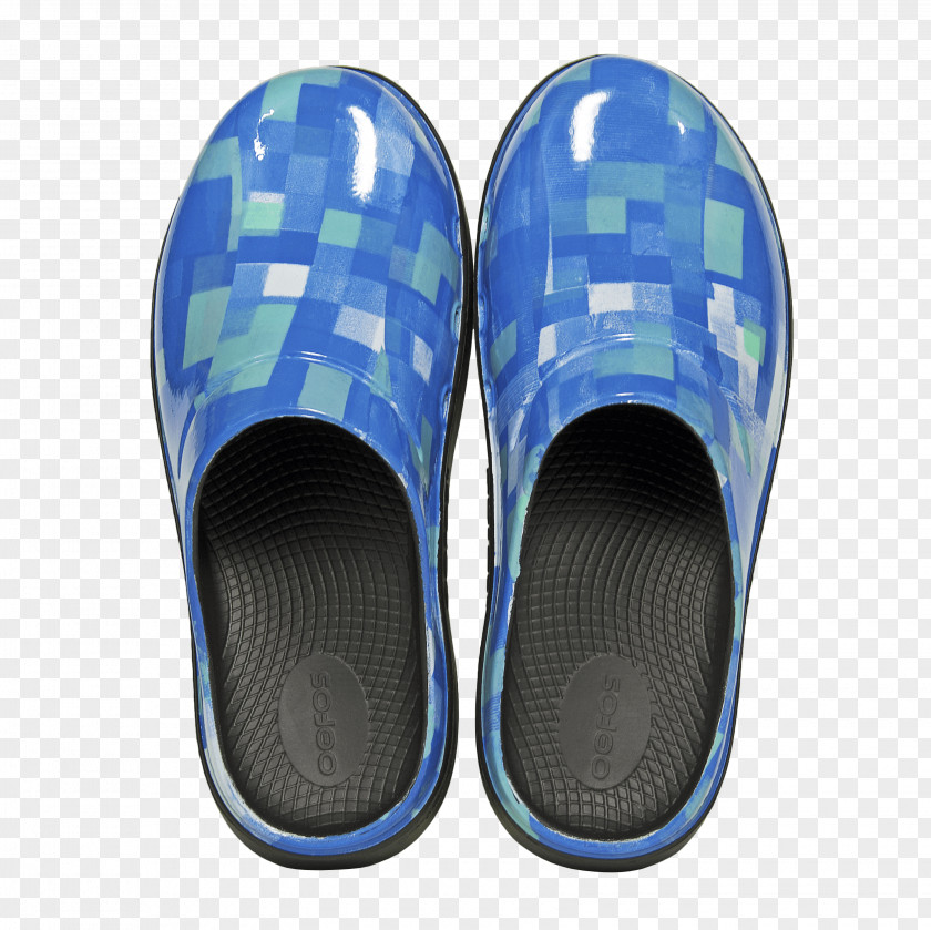 Blue Shoes Slipper Clog Shoe The Dress PNG